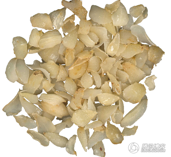 肾有多好,<em>就有</em>多<em>年轻</em>!每天吃一碗,<em>白头发</em>没了,