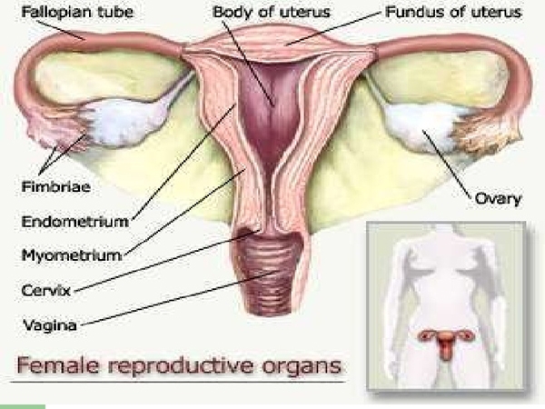 <em>月经</em>总是<em>量少</em>又<em>黑</em>怎么办?这篇对女人太重要了