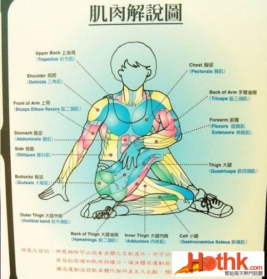 拉筋術！終於找到瞭，珍藏瞭！太有用瞭！