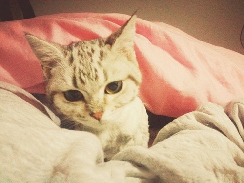 <em>女友分手</em>后<em>送</em>我一份<em>礼物</em>,我再也无法原谅自己