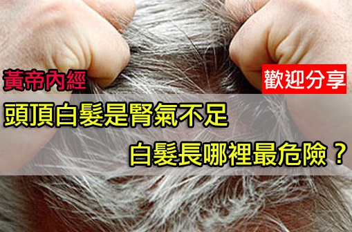 <em>头顶白发</em>是肾气不足 <em>白发长</em>哪里最危险? LIFE