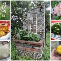 台北三芝 番婆林觀光花園～自然風下大咬桶仔雞