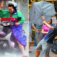 颱風假，逾九成民眾 贊成「停課就停班」