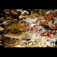 【K-指南】好山好水的束草紅葉旅行小貼士