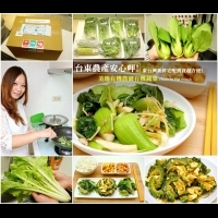 【宅配有機蔬菜】台東農產讚!新鮮宅配美地有機農園有機蔬菜箱! 
