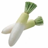 冬吃蘿蔔 夏吃薑,不用醫生開藥方