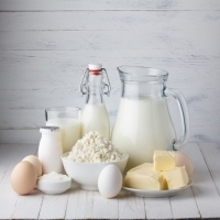 最佳蛋白質來源：牛奶和雞蛋