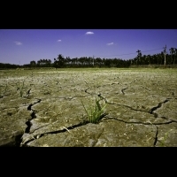 台灣名列全球第18大缺水國，10年大乾旱來襲！你必須要了解的「水危機」......│財訊雙週刊