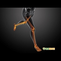 膝關節手術客製化　膝蓋不再「卡卡」