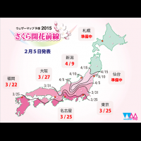 2015日本櫻花前線第二回！櫻花休眠順利打破 北日本預估延遲開花