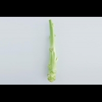 甘甜大心菜，燉排骨滋味讚