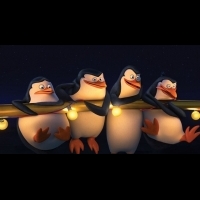 【電影觀後感】馬達加斯加暴走企鵝─企鵝不捨的團隊精神