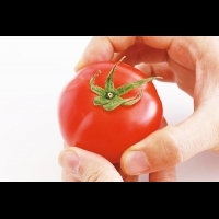 生吃番茄可能致死？農糧署：謠傳啦！