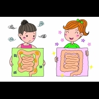1天1PUSH!推推腸,瘦小腹:腸常動,萬年小腹馬上瘦!日本美腸專家齊藤早苗教你:怎麼幫腸作按摩...