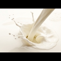 【你知道嗎】百分之二低脂奶和全脂奶其實只差一點點