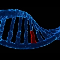 研究：人類基因不「純淨」包含近 150 個外來混種 | 早安健康NEWS