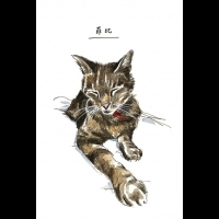 【愛喵族必讀】《遺失一隻貓》堆砌著愛與瘋狂的圖文故事集