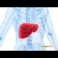 慢性B、C肝炎　成肝癌高危險群