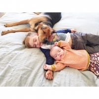 家人就是我的枕頭！史上最療癒兄妹與狗狗的午睡側拍照│妞新聞