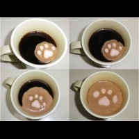 超萌 超療癒♡ᵕ̈*貓咪棉貓糖♡♡ᵕ̈*融化在咖啡的同時也融化你的心