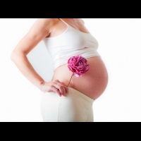 超推薦！不同的生產月份，從懷孕2個月到產後，孕媽咪該注意什麼？原來學問這麼大！│台灣廣廈