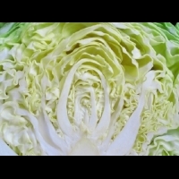 高麗菜竟然這麼神奇?!現在正是營養高峰,不趁現在吃就太可惜了!不為人知小知識....