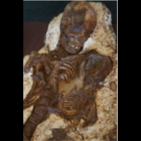 4800多歲的「台中阿嬤」出土了！「安和遺址」考古重大發現