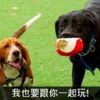 帶毛孩去狗公園,5個準備不可少|寵物迷