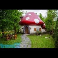 這絕對不是在童話故事中！！超可愛的蘑菇屋，光是外殼就花費200多萬的幸福莊園....│行遍天下旅遊月刊