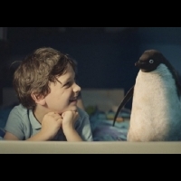一個小男孩和小企鵝，創下2000萬人次點閱！看懂這「七個必要」，數位時代最美好的力量│先覺出版
