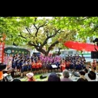 潮州200歲老茄冬樹過生日〜生命教育與守護土地記憶傳承