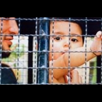 【中國火大】173名泰國維族難民獲釋飛抵土耳其