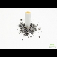 吸菸的壞處：肺病、癌症、心血管疾病等 