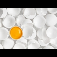 吃蛋會造成膽固醇變高？破除謠言，真相其實是？！黃瑽寧醫師與營養師這樣說....