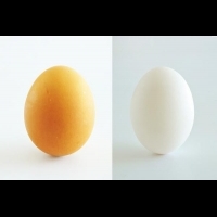 買蛋時，蛋殼妳都挑什麼顏色？