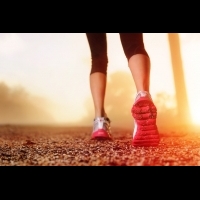 羅曼諾夫博士指導正確的姿勢跑法：教你跑得更快、更遠、更省力，一輩子不受傷....│臉譜出版