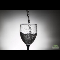 三種杯子喝水 致癌風險大增