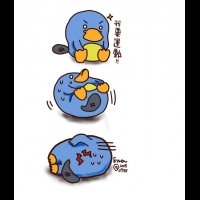 BLUE PLATYPUS 中秋前後,要面對的第一件事