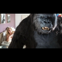 丹妮芙和黑猩猩擦出愛苗 《死期大公開》勇奪奧斯汀影展最佳喜劇電影