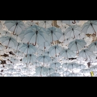 在芬蘭綻開的白色傘海  1100隻白色雨傘點亮北歐年度設計盛事