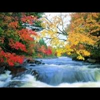 不用出國也能一覽秋天迷人「楓」景！台灣秋日國內輕旅行五大重點
