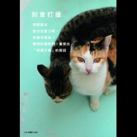 連貓咪也懂得的操戰術......想要吸引對方注意，只要XXXX就對了！│ 晨星出版