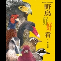 野鳥好好看——劉伯樂的台灣野鳥觀察