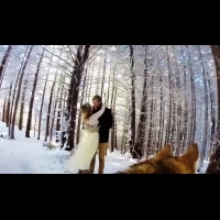意想不到的超級神秘攝影師？！ 這段精彩婚禮紀錄 全由「牠」掌鏡！