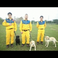 消防局3組搜救犬中央培訓 向市民徴求好名