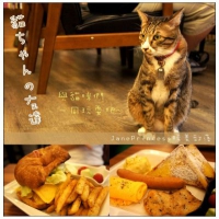 ♣°ζ◦【台北美食】貓咪先生的朋友貓ちゃんの友達~與貓咪們一同玩耍 吃美食吧