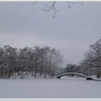 日本北海道冬季冰雪之旅 序章～阿一一北海道冬季賞雪之旅