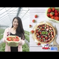 台北市區就能採草莓-內湖莓圃讓你大啖草莓全餐
