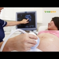 後頸透明帶厚度檢查　及早篩檢胎兒異常