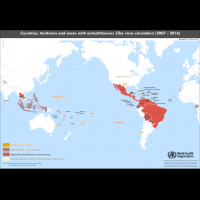 WHO：34國境內感染茲卡確診病例